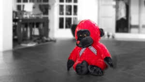 Beary Funny