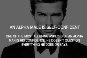 Alfa Male of confident