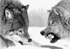 Two Wolves