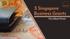 3 Singapore Business Grants | KD Rooban