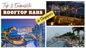 Top 8 Exquisite Rooftop Bars in Singapore | KD Rooban