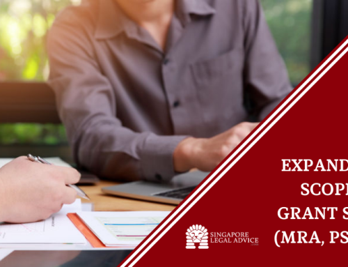 All You Need to Know About Expanding Your Business with MRA Grant Singapore: